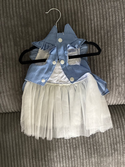 Medium-Pet dress