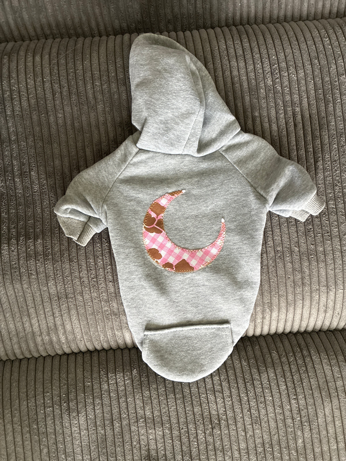 Small-Pet hoodie